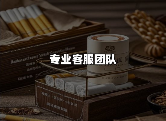 专业优势